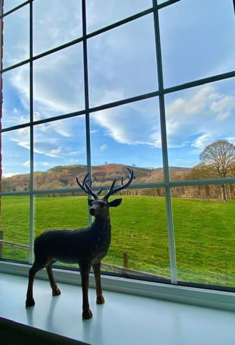 The Old Coach House Bed & Breakfast Llangollen Luaran gambar